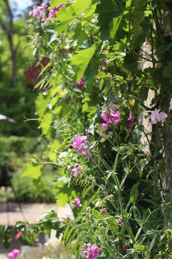 Chez Sophie Et Benoit Bed & Breakfast La Bussiere-sur-Ouche ภายนอก รูปภาพ